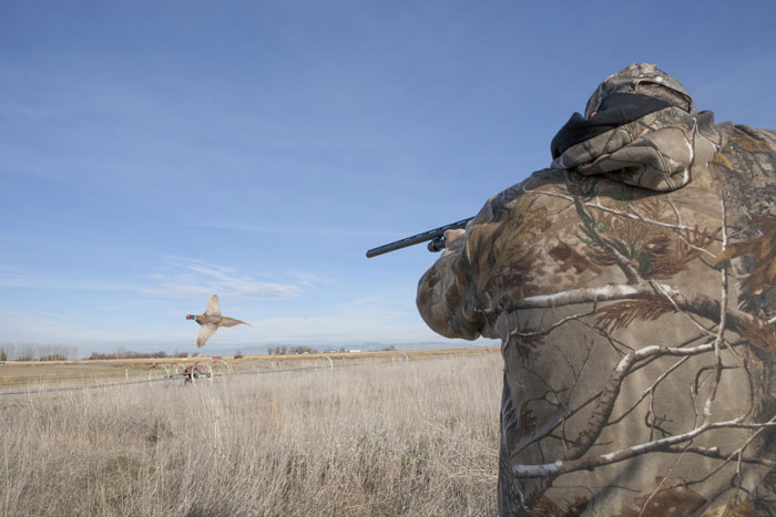 CORSI SPECIALISTICI DI CACCIA 2016