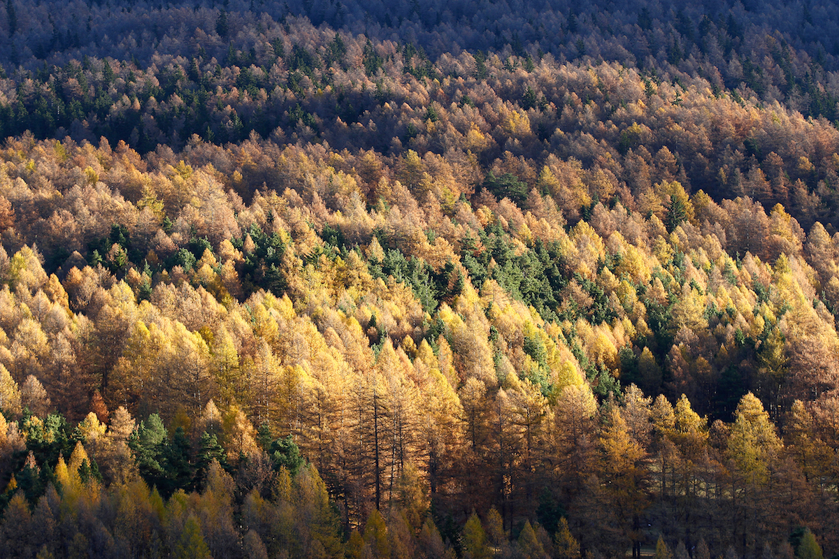 Trasmessa al Parlamento la Relazione sullo Stato dell’Ambiente