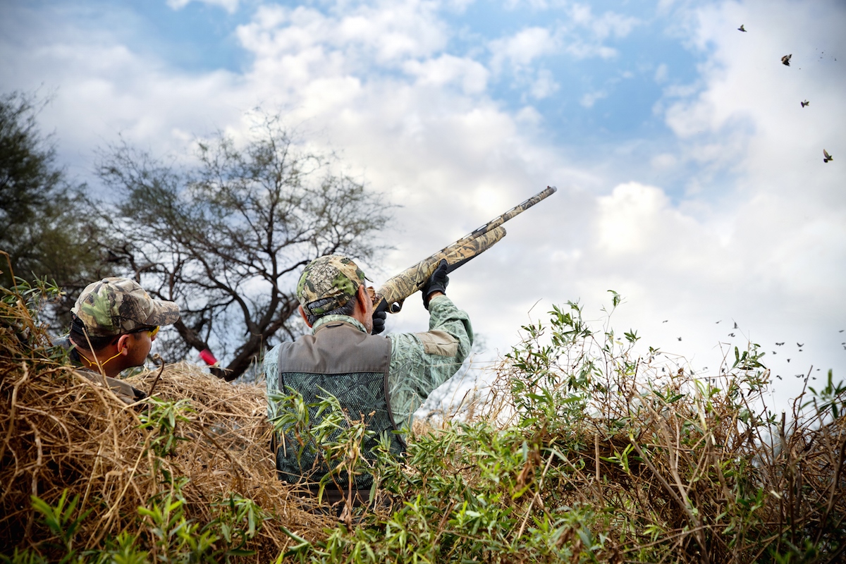 La sicurezza a caccia: cosa fare e cosa non fare