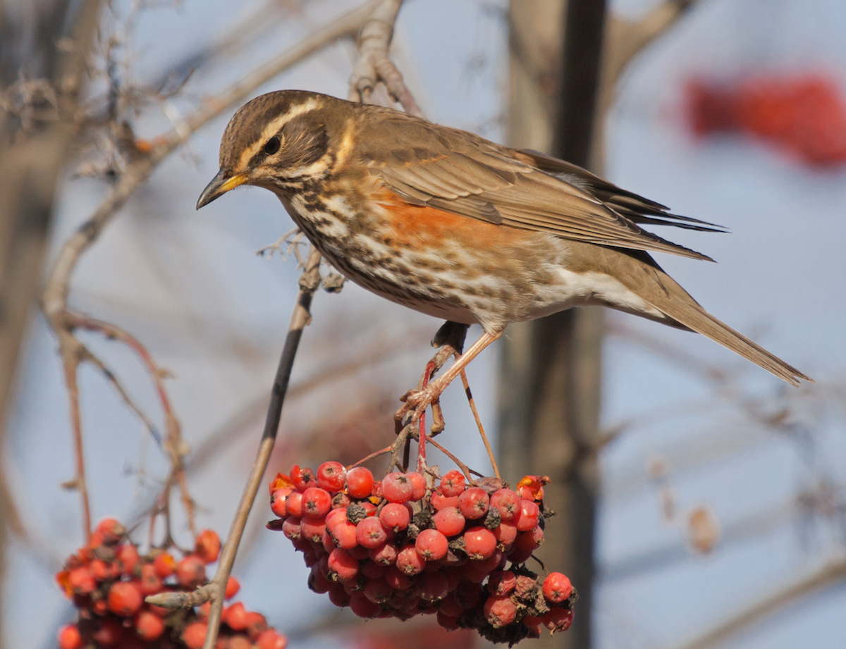 PUBBLICATO IL DECRETO DEL CALENDARIO RIDUTTIVO