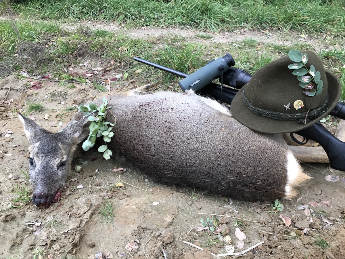 Reazioni al colpo: colpi mortali e non mortali