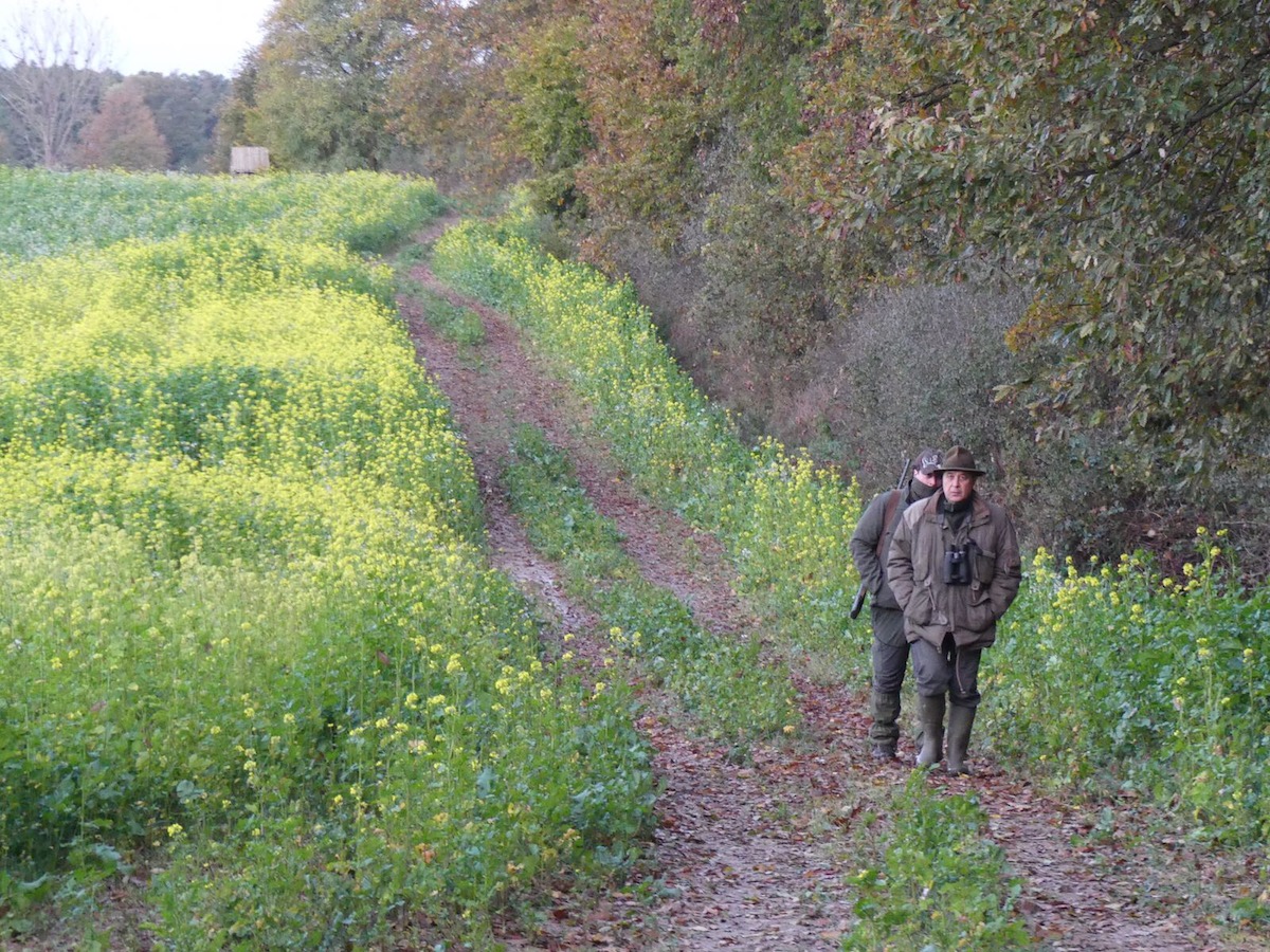 Academy FIDC Brescia: formazione pratica per neo selettori