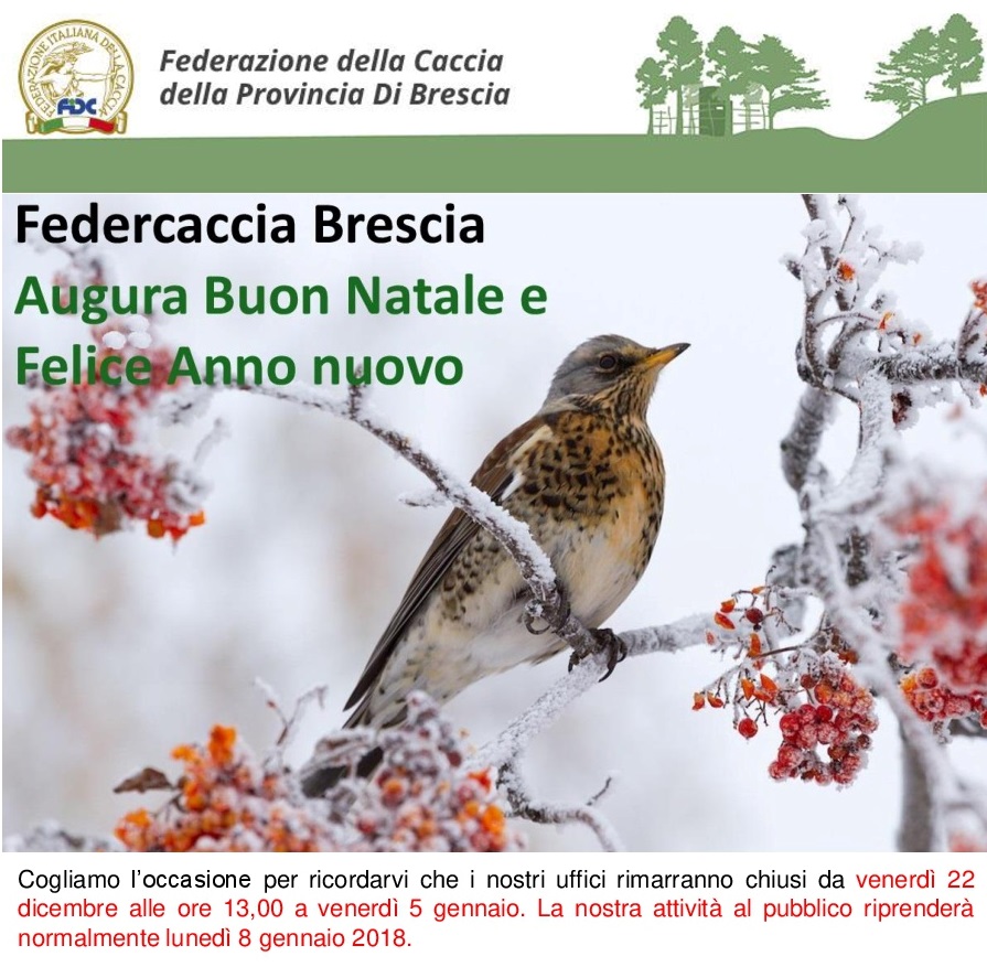 Auguri di Buone Feste