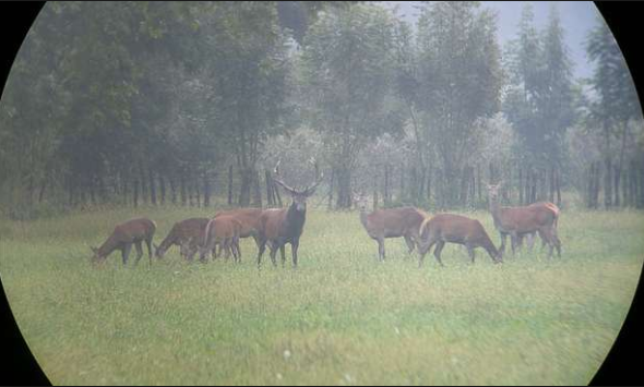 Fattori limitanti: definizione e classificazione