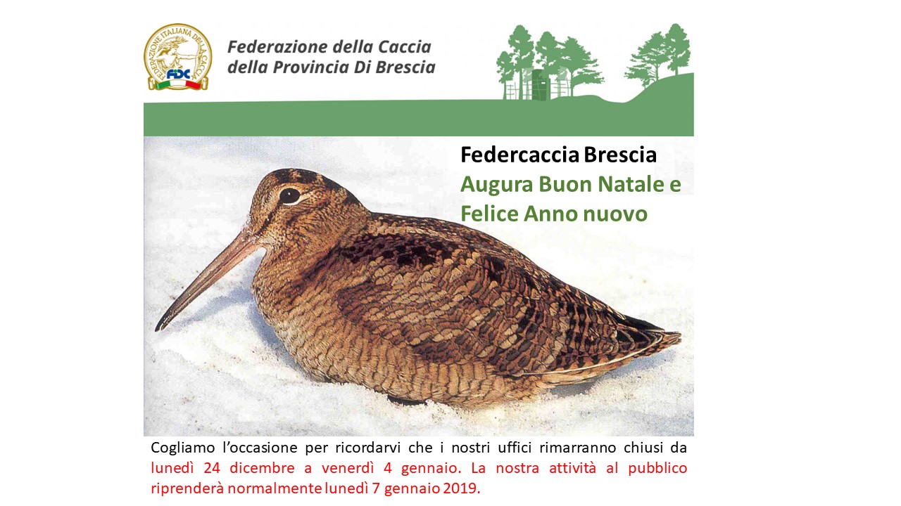 Auguri di buone feste