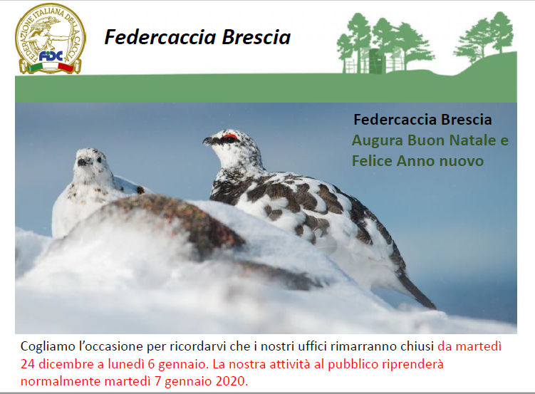 Auguri di buone feste