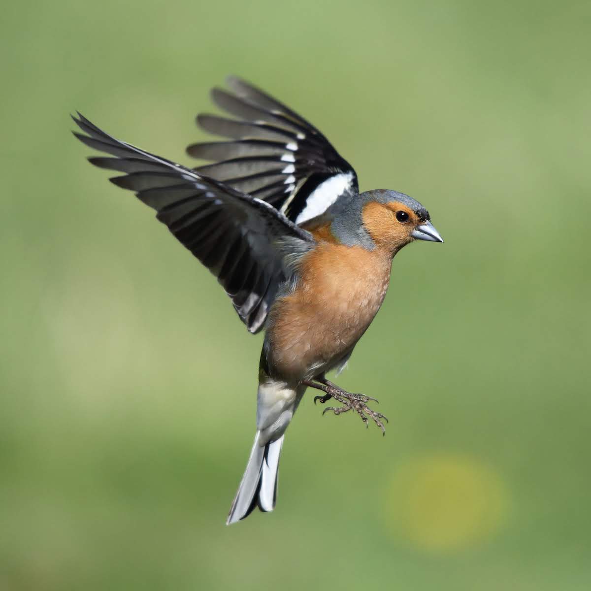 DECISIONE INCOMPRENSIBILE, AVANTI CON IL LAVORO