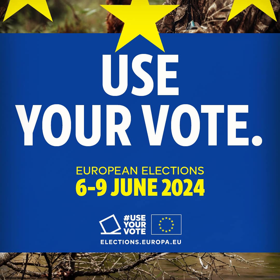 L’IMPORTANZA DEL VOTO EUROPEO